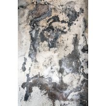 Dark Swirl Texture Wall Mural