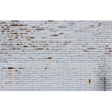 Dirty Whitewashed Brick Wallpaper Mural