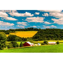Farm Fields And Rolling Hills Wall Mural