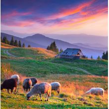 Mountain Village at Sunset Wall Mural
