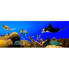 Under the Sea Wall Mural
