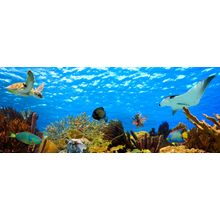 Underwater Paradise Wall Mural
