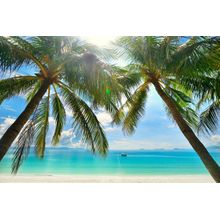 Sunny Palm Trees Wall Mural