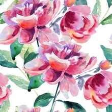 Beautiful Peony Watercolor Wallpaper