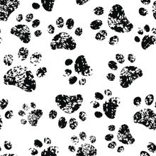 Paw Prints Wallpaper