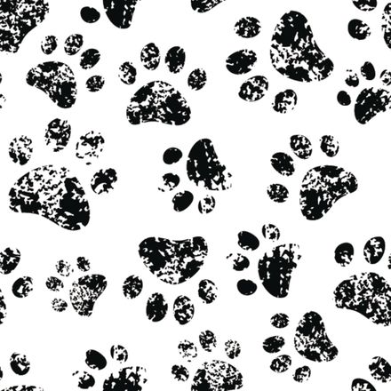 Cute Cheetah Print Wallpaper - Murals Your Way