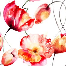 Poppy And Tulip Watercolor  Wallpaper