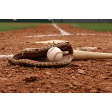 Baseball And Bat Wall Mural
