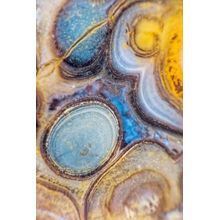 Macro Agate Motley Wall Mural