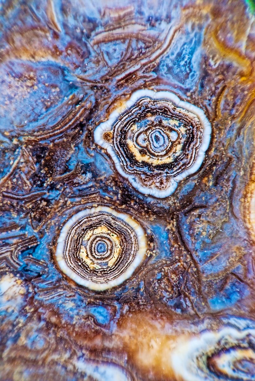 Two-Buds-Of-Agate-In-Stone-Wallpaper-Mural