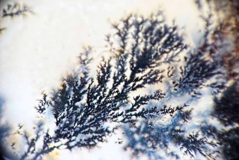 Microcrystals-Dendrite-Inside-The-Stone-Wallpaper-Mural