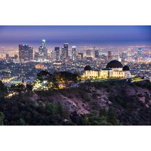 Griffith Osbervatory and Downtown Los Angeles Wall Mural