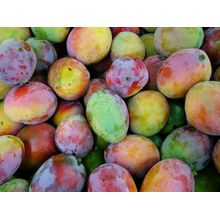 Mango Wall Mural