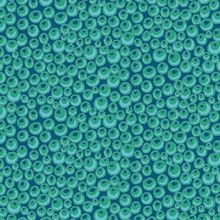 Kelp Forest Algae Wallpaper