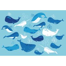 Whale Of A Tale Wall Mural