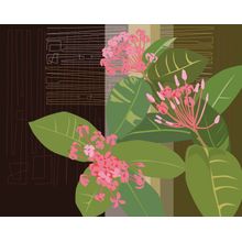 Kiah Pink - Khaki Wall Mural