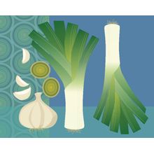 Modern Veggies - Leeks Wall Mural