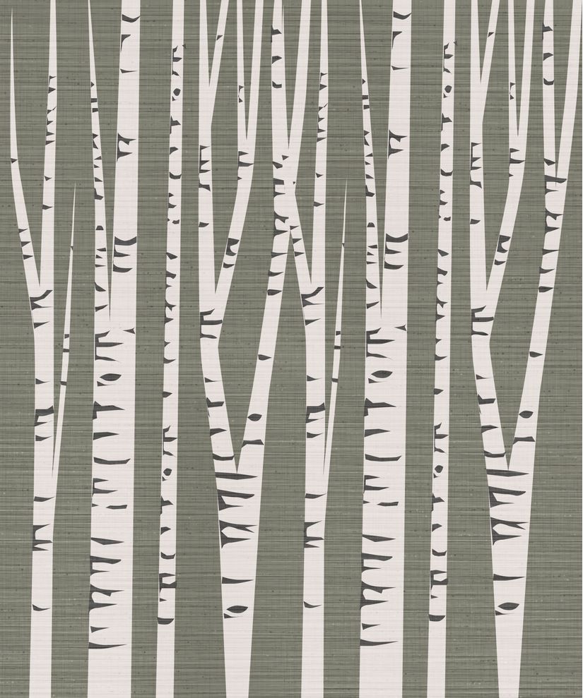 Pieces Of Birch Bark Wallpaper Mural