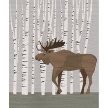 Moose in Birch Tree Forest Wall Mural