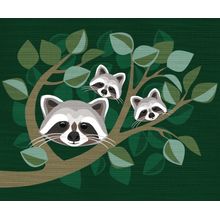 Raccoons Wall Mural