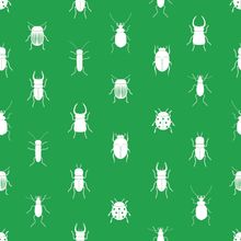 Bugs n' Beetles Wallpaper