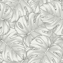 Monstera Leaf Line Pattern Wallpaper