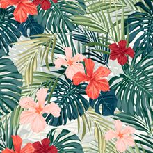 Colorful Hawaiian Hibiscus Wallpaper