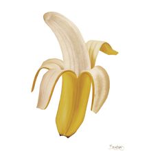 Banana Split Wall Mural