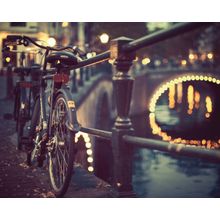 Going Dutch Wall Mural