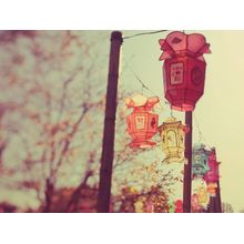 1000 Lanterns Wall Mural