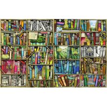 Fantasy Bookcase Wall Mural