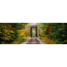 Train Tracks Passing Through A Forest Wall Mural