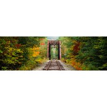 Train Tracks Passing Through A Forest Wallpaper Mural