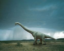 Dinosaur mural of the giraffe-like Brachiosaurus walking through a vast open plain during a rainstorm