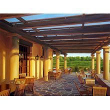 Vineyard Patio Wall Mural
