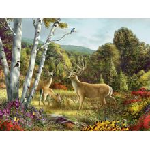 Somewhere Wall Mural