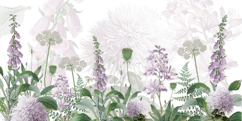 Foxglove-Flowers-Purple-Wallpaper-Mural