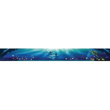Sunlit Kauai Dolphins - Panoramic Wall Mural