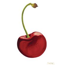 Cherry Wall Mural