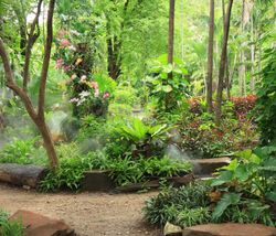 Tropical-Garden-Wall-Mural