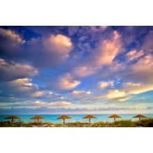 Reed Umbellas And Sunrise Clouds Wall Mural
