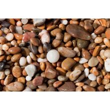 Wet Pebbles Wall Mural