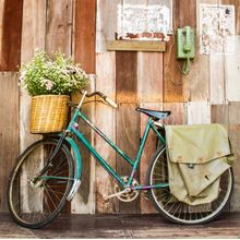 Vintage Bicycle Wall Mural