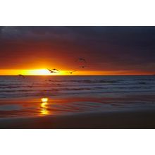 Sunrise Over Bass Strait & Godfreys Beach Wall Mural