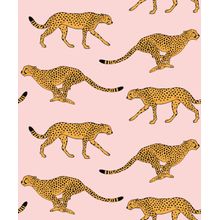 Cheetah Sprint Wallpaper