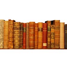 Old Books Wall Mural