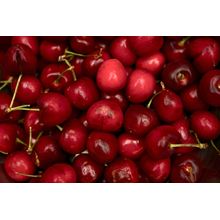 Fresh Organic Sweet Cherries Wallpaper Mural