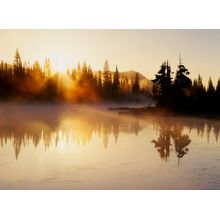 Sunrise Through The Fog Wall Mural
