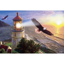 Eagle Light Mural Wallpaper