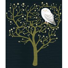 White Owl at Night Wall Mural